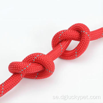 Hot Selling Pet Leash P-typ koppel